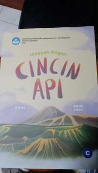 Image of CINCIN API
